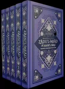 Zadu'l-Mead Fi Hayri'ı-İbad (5 Cilt Takım)