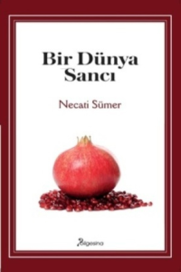 Bir Dünya Sancı