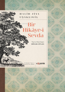 Bir Hikâye-i Sevda
