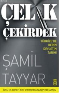 Çelik Çekirdek; Türkiye'de Derin Devletin Tarihi