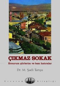 Çıkmaz Sokak; Erzurum Şiirleri ve Bazı Hatıralar