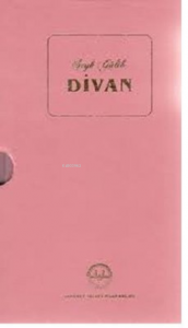 Divan-Şeyh Galib-Kutulu