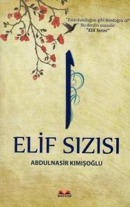 Elif Sızısı