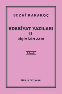 Fizikötesi Açısından Ufuklar Ve Daha Ötesi 2