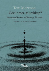 Görünmez Mürekkep;Yazmayı Okumak / Okumayı Yazmak