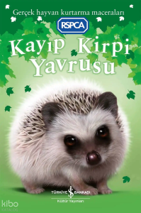 Kayıp Kirpi Yavrusu
