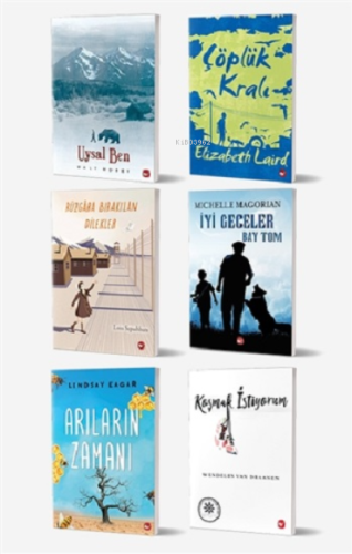 8. Sınıf Okuma Kitapları Seti - 6 Kitap Kolektif