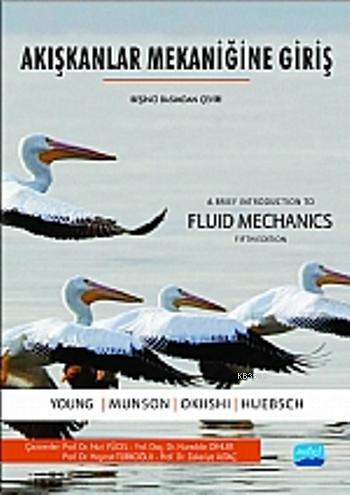 Akışkanlar Mekaniğine Giriş