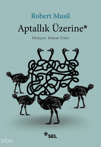 Aptallık Üzerine