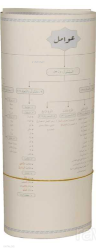 Arapça Avamil Şeması (Poster Tablo)