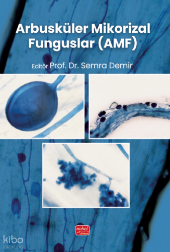 Arbusküler Mikorizal Funguslar (AMF) Kolektif