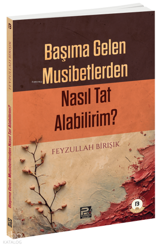Başıma Gelen Musibetlerden Nasıl Tat Alabilirim? Feyzullah Birışık