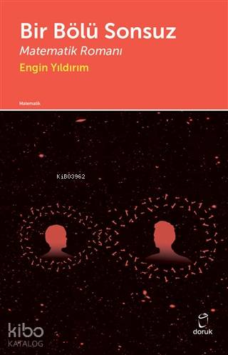 Bir Bölü Sonsuz Matematik Romanı