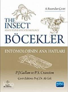 Böcekler; Entomolojinin Ana Hatları