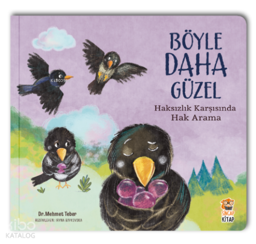 Böyle Daha Güzel – Haksızlık Karşısında Hak Arama Mehmet Teber
