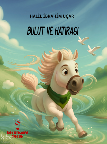 Bulut ve Hatırası Halil İbrahim Uçar