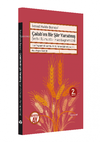 Çalab'ım Bir Şar Yaratmış; Şerh-i Rümuzat-ı Hacı Bayram Veli