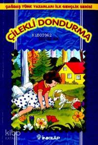 Çilekli Dondurma Sevim Ak
