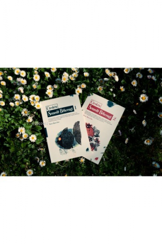 Çîrokên Semedê Bêhrengî -  I &  I I