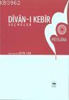 Divan-ı Kebir Seçmeler (cilt:2)