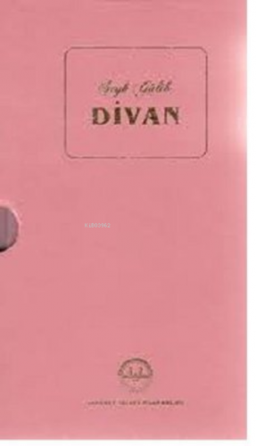 Divan-Şeyh Galib-Kutulu