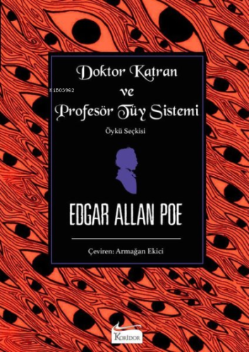 Doktor Katran ve Profesör Tüy Sistemi Edgar Allan Poe