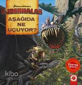 Dreamworks Ejderhalar; Aşağıda Ne Uçuyor
