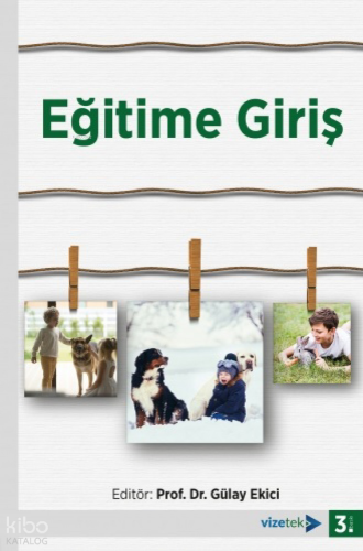 Eğitime Giriş Gülay Ekici