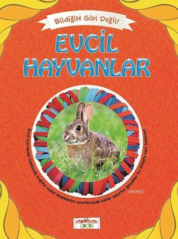 Evcil Hayvanlar; Bildiğin Gibi Değil
