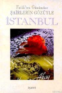 Fatih'ten Günümüze Şairlerin Gözüyle İstanbul (2 Cilt) Hasan Akay