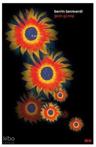 Gece Güneşi Berrin Tanrıverdi