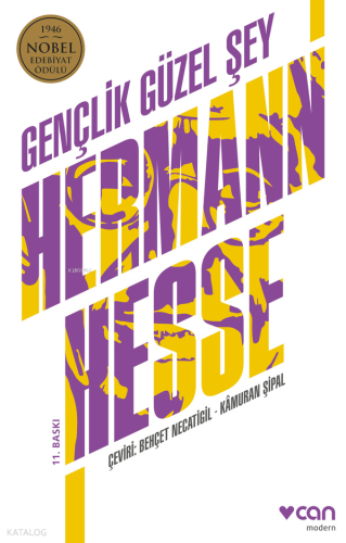Gençlik Güzel Şey Hermann Hesse