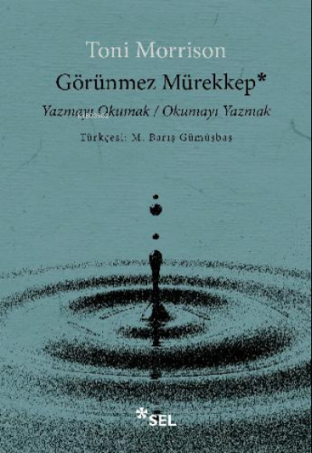 Görünmez Mürekkep;Yazmayı Okumak / Okumayı Yazmak