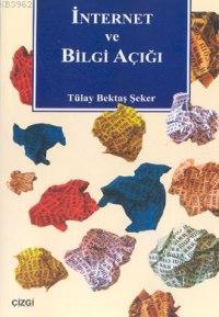 İnternet ve Bilgi Açığı