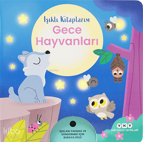 Işıklı Kitaplarım: Gece Hayvanları (Ciltli) Kolektif