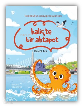 İstanbul’un Acayip Hayvanları Haliçte Bir Ahtapot Bülent Ata