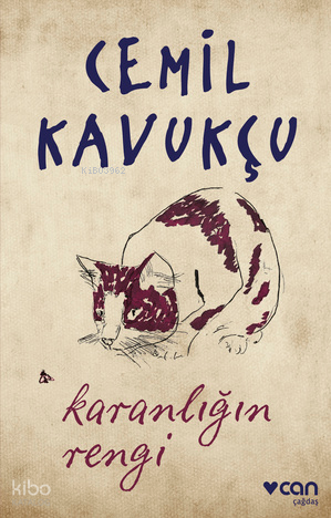Karanlığın Rengi