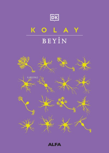 Kolay Beyin