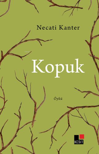 Köpük