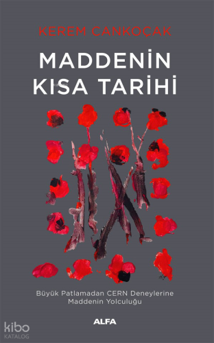 Maddenin Kısa Tarihi;Büyük Patlamadan Cern Deneylerine Maddenin Yolcul