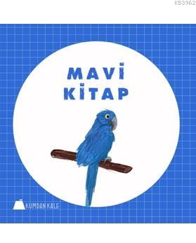 Mavi Kitap