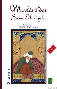 Mevlânâ'dan Seçme Hikayeler