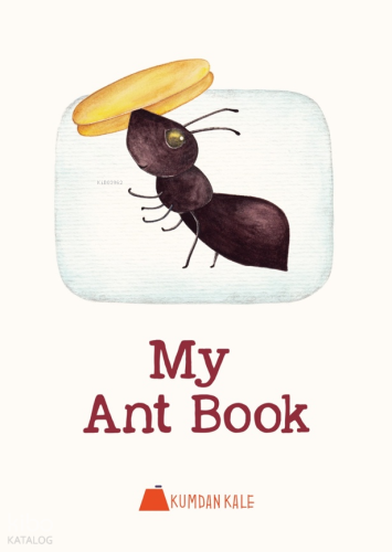 My Ant Book