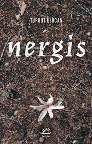 Nergis