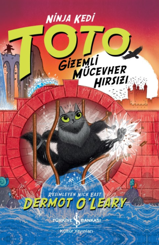 Ninja Kedi Toto – Gizemli Mücevher Hırsızı Dermot O’leary