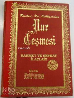 Nur Çeşmesi; Risale-i Nur Külliyatından Rahmet ve Şefkat İlaçları Bedi