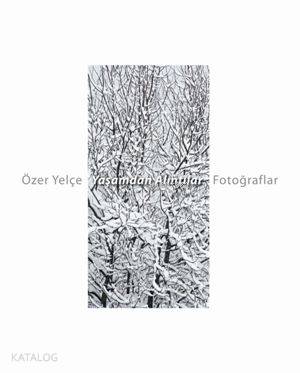 Özel Yelçe Yaşamda Alıntılar Fotoğraflar