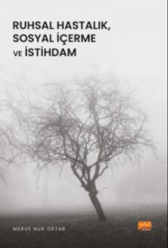 Ruhsal Hastalık, Sosyal İçerme ve İstihdam