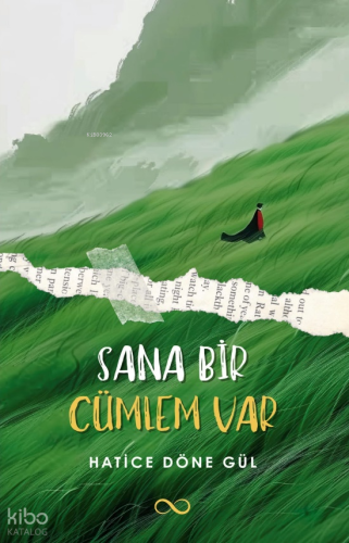 Sana Bir Cümlem Var