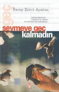 Sevmeye Geç Kalmadın